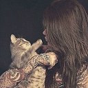 ���� �����, �����������, 31 ��� - ��������� 28 ������� 2011 � ������ ���� ����������