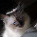   ( ),  -  22  2012     Ҹ!!!