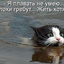  ,  -  8  2012   =)