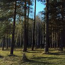 ���� �����, ������, 33 ���� - ��������� 24 ��� 2010 � ������ �����������