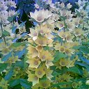 ���� Kira, ������, 65 ��� - ��������� 2 ������ 2010 � ������ �������