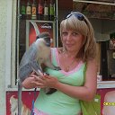  ,  -  18  2012    2012