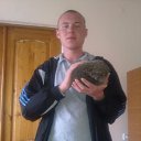 ���� ���������, ����������, 36 ��� - ��������� 17 ���� 2013 � ������ ���� ����������