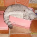 ���� ��� ����, ������, 24 ���� - ��������� 25 ����� 2010 � ������ ���� �����