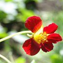 ���� Feruza, ������ - ��������� 16 ������ 2011