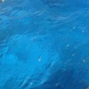 �������� ������ �� ������� ���� ����������