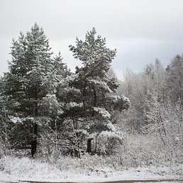 ���� �������, ������, 43 ���� - ��������� 20 ��� 2012