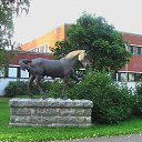  , , 63  -  9  2009      - Suomi