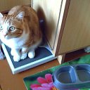 ���� ����, ����������-��-�����, 56 ��� - ��������� 26 ������ 2013 � ������ ���� ����������