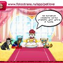 ���� �����, �����, 40 ��� - ��������� 8 ������� 2010 � ������ �PetLove�