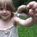 ���� ����, �����������, 23 ���� - ��������� 12 ���� 2013 � ������ ���� ����������