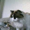 ���� �� ������� ���� ����Ȼ