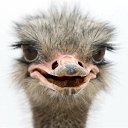  ++, , 55  -  2  2013    