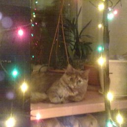 ���� �����, ������, 57 ��� - ��������� 7 ������ 2011