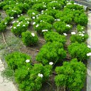 ���� ������, ���������, 42 ���� - ��������� 23 ���� 2012 � ������ �������