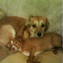 ���� Jane, �����������, 67 ��� - ��������� 10 ������ 2012