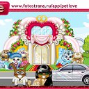   , , 34  -  7  2010   PetLove