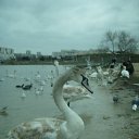  Aleksa , , 45  -  14  2009   