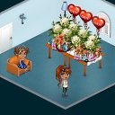 ��� �����! �� ������� �Tropikania�