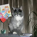 ���� ���������, ����, 53 ���� - ��������� 2 �������� 2011 � ������ ������