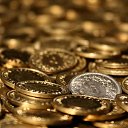 ���� ������, ��������, 30 ��� - ��������� 12 ���� 2010