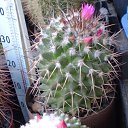 ���� ������, ������, 69 ��� - ��������� 5 ������ 2013 � ������ ���� ��������� ����������