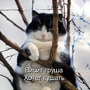 ���� Alenka, ��������������, 49 ��� - ��������� 30 ��� 2010