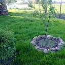 ���� �������, ��������, 59 ��� - ��������� 22 ��� 2012 � ������ ���� ����������