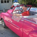 ���� �������, ��������, 37 ��� - ��������� 23 ����� 2013 � ������ ���� ����������
