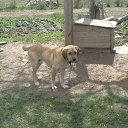 ���� �����, ������, 35 ��� - ��������� 21 �������� 2012 � ������ �� � ��� ������