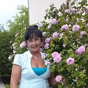 ���� ���������, ������, 62 ���� - ��������� 13 ���� 2013 � ������ ���� ����������