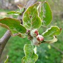 ���� ��������, �����-���������, 54 ���� - ��������� 16 ���� 2012 � ������ �����������