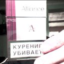  , -, 49  -  1  2013    