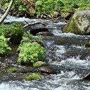 ���� ������, �����������, 58 ��� - ��������� 12 �������� 2011