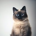 ���� ����, ���� - ��������� 20 ������ 2013 � ������ ���� ����������