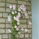 ���� ������, ���������, 47 ��� - ��������� 2 ������� 2012 � ������ �fdnjrkfd�