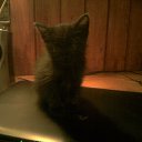 ���� ������)....., �����, 43 ���� - ��������� 3 ����� 2012 � ������ ���� ����������