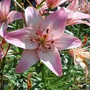  ++, , 55  -  6  2013    