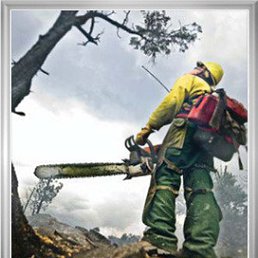 ���� ��������� �������, ������, 40 ��� - ��������� 22 �������� 2012