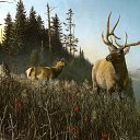 ���� ����� - ���������� ��������!!!, �����������, 56 ��� - ��������� 14 ������� 2009 � ������ ���������� �������Ż