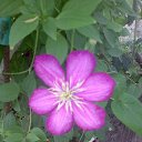 ���� Rina, �������, 39 ��� - ��������� 26 ������ 2010 � ������ ��������