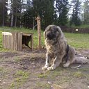 ���� Harvy, ������, 34 ���� - ��������� 11 ������� 2010 � ������ �������