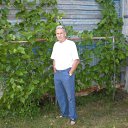 ���� ���������, ��� - ��������� 8 �������� 2011 � ������ ���� ����������