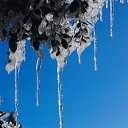  , , 54  -  21  2010   λ