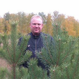 ���� �����, ����, 56 ��� - ��������� 30 ���� 2013