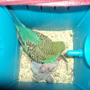 ���� ���, �����, 27 ��� - ��������� 16 ����� 2011 � ������ ���� �������