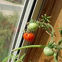 ���� �����, ������, 53 ���� - ��������� 17 ������� 2009 � ������ �������