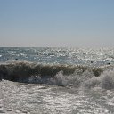 ���� ��������, ������, 43 ���� - ��������� 22 ����� 2010