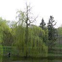  ••,  -  1  2013   RoadKing