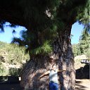 ���� ������, ���������, 65 ��� - ��������� 18 ������� 2012 � ������ ���� ����������